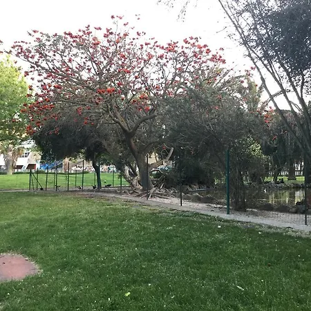 Διαμέρισμα Gaia House Οριστάνο